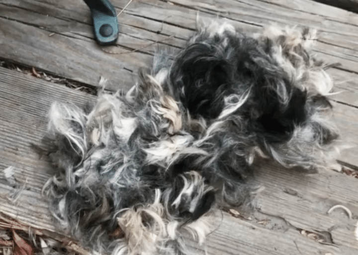 床で寝ている愛犬に声をかけても反応がない あれ？よく見ると