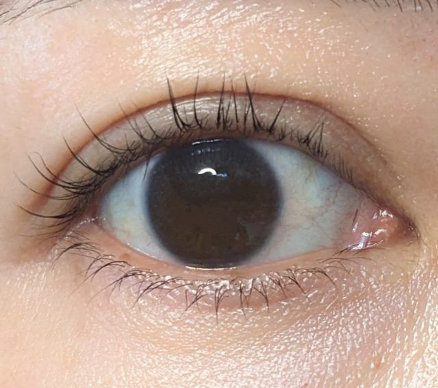 キャンメイクの写真