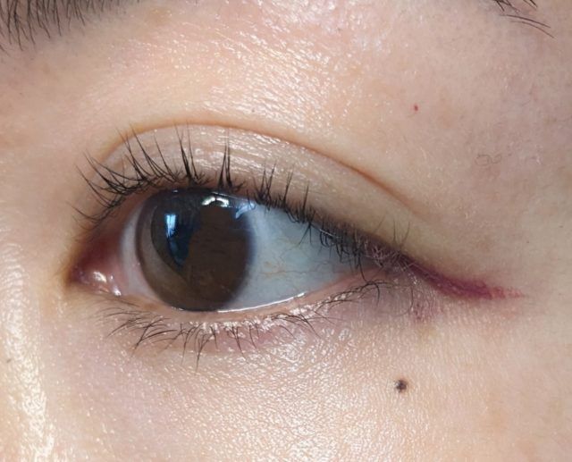 キャンメイクの写真