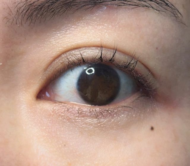 キャンメイクの写真