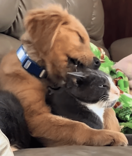 後ろからぎゅっ！ 猫への愛情あふれる抱擁をしながらスリスリ、ハムハム♡