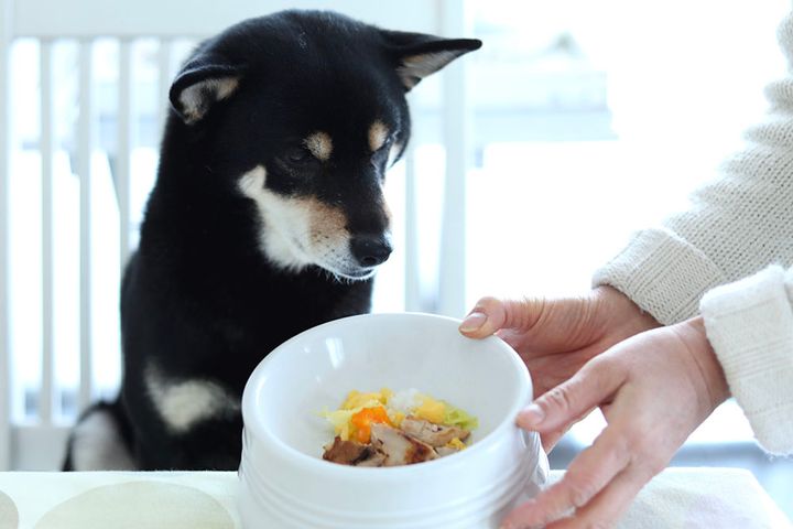 カリフラワーレシピ