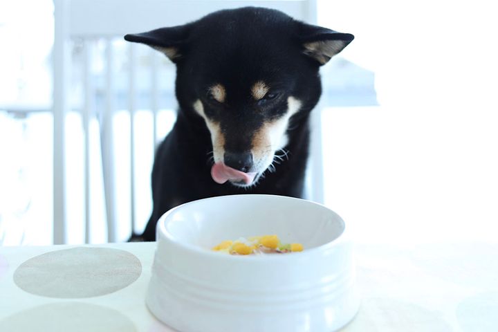 カラフルカリフラワー