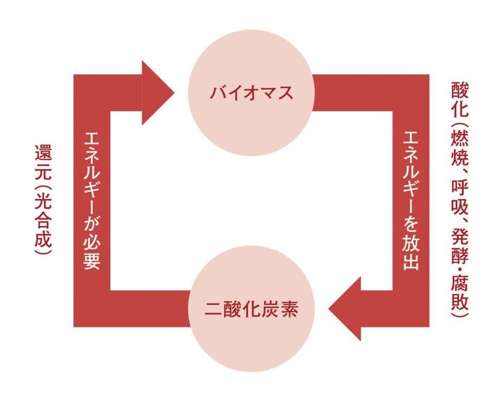 光合成により二酸化炭素を還元して資源化するイメージ図