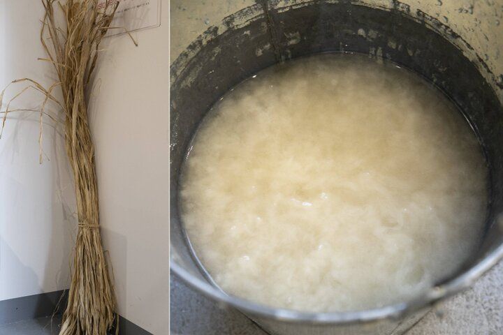 浅草で紙漉き体験♪ 「和紙雑貨の店 watashino」でオリジナルの和紙づくりを