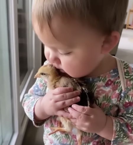 子どもの行動にほっこり♪ 鳥さんを抱きしめて離さない！