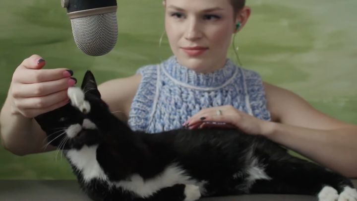 喉鳴らす黒白の猫は手を伸ばす、もっと撫でてと指引き寄せて