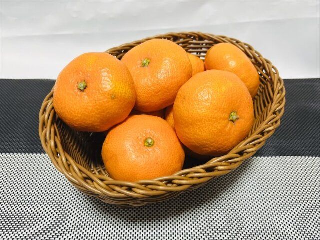 ニトリ 洗える抗菌バスケット