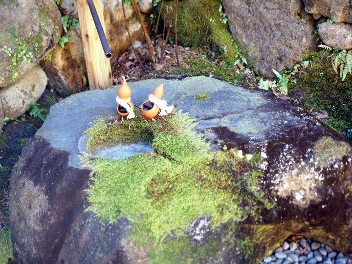 箱根・宮ノ下でお坊さんが作る精進料理の絶品朝ごはん♪「斎縁」でゆったり幸せなモーニングを