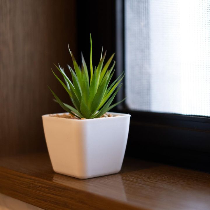 画像2: 出典：ftn_pics