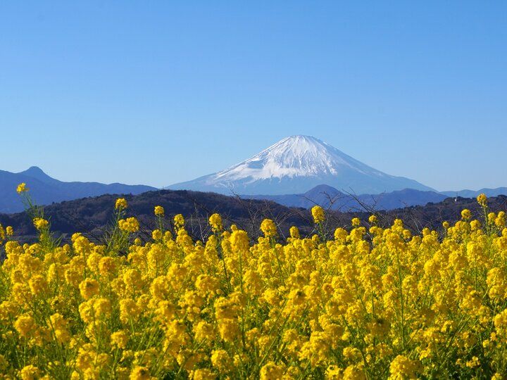 海辺の街へ足を延ばして素敵な食堂のあるパン屋さんへ♪湘南・二宮町「Boulangerie Yamashita」