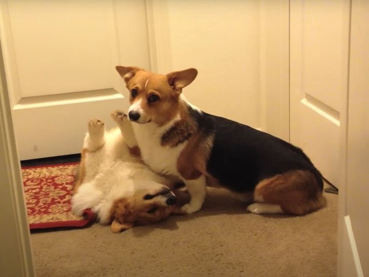 寝転んだままじゃん！