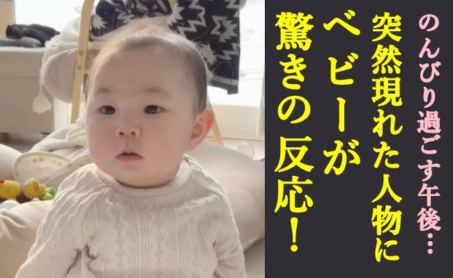 のんびり午後に突然現れた人物！ベビーが見せた驚きの反応