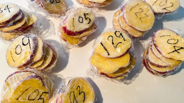 主食の穀物画像