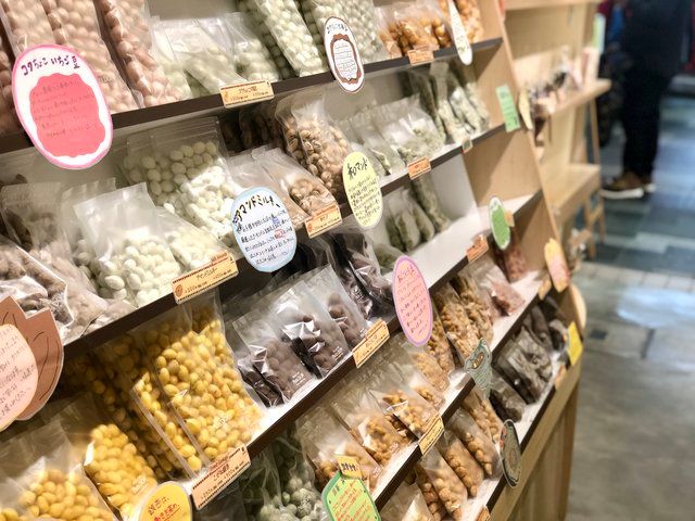 ナッツダム京都