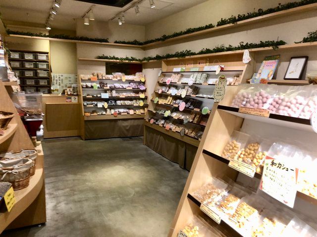 ナッツダム京都店