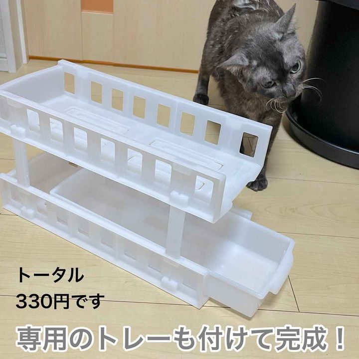 画像1: 出典：Instagram