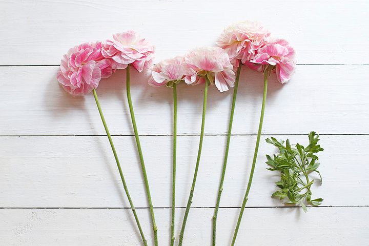 ラナンキュラスのアレンジ