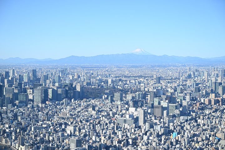 外を見ると絶景が。まさに天空の展示会です。ちなみに天気が良ければ富士山も見えますよ！