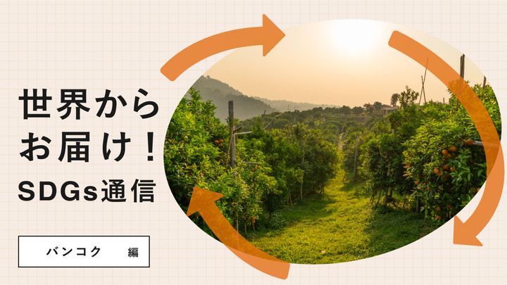 世界からお届け！SDGs通信 バンコク編。廃棄オレンジの再利用を模索し生まれたオードヴィー