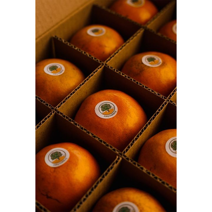 品質チェックをクリアしたオレンジ