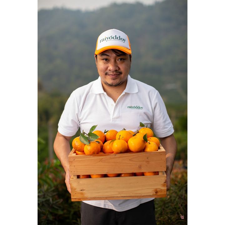 オレンジの年間収穫量は約90万kg