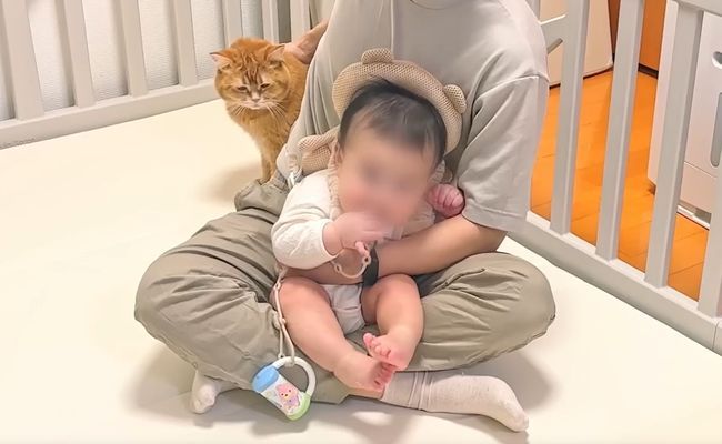 赤ちゃんのグズる声を聞いた兄ネコ。驚きの超速反応