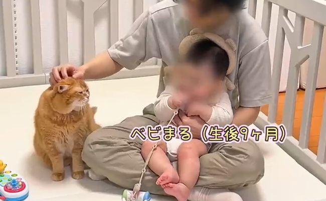 赤ちゃんのグズる声を聞いた兄ネコ。驚きの超速反応