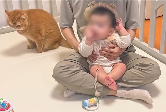赤ちゃんのグズる声を聞いた兄ネコ。驚きの超速反応