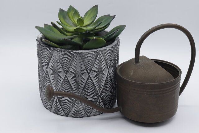 ダイソーのセメント植木鉢（5号、15cm、アメリカン風）の使用例