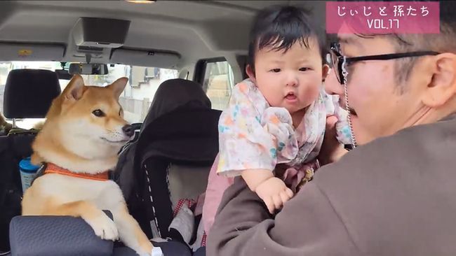 人見知りベビーが帰省で大号泣！じいじ・ばあばはどうする？