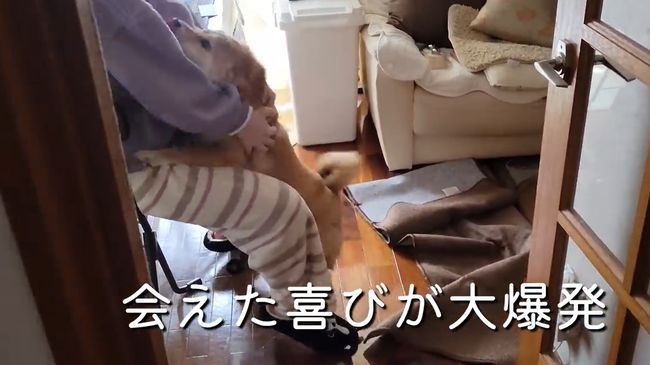 人見知りベビーが帰省で大号泣！じいじ・ばあばはどうする？