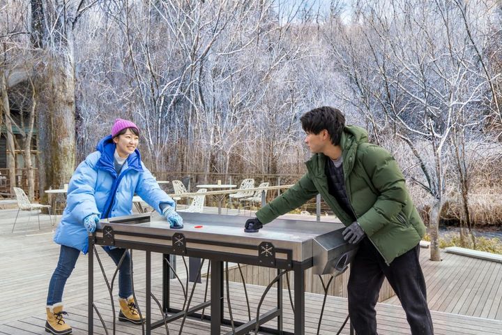 アイステーブルホッケー