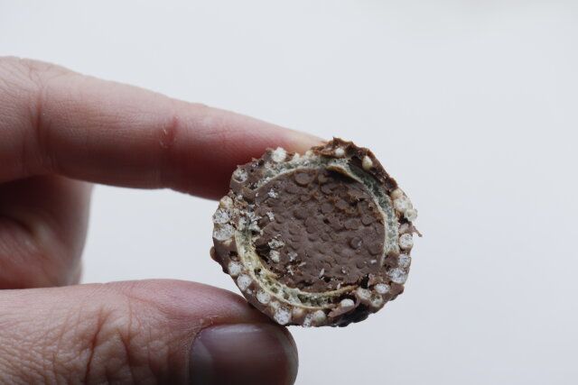 ウェハーボールの味