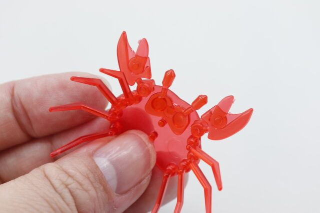 キャンドゥのクリアアクアリウム（カニ）に足部分と目部分を付ける様子