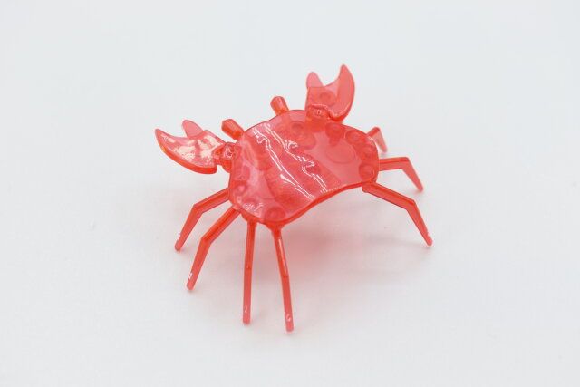 キャンドゥのクリアアクアリウム（カニ）の完成形