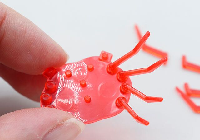 キャンドゥのクリアアクアリウム（カニ）を組み立てる様子