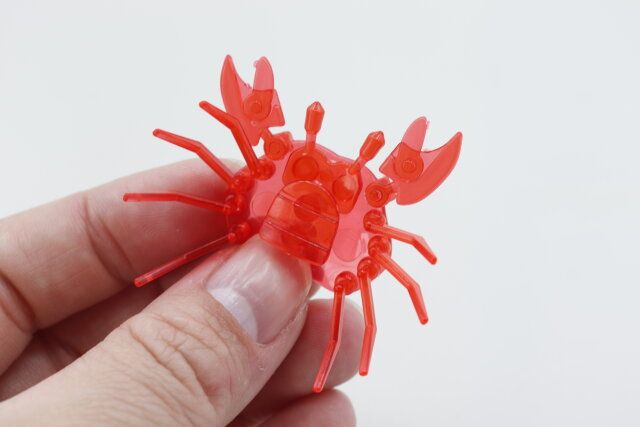 キャンドゥのクリアアクアリウム（カニ）のふんどし部分を付ける様子