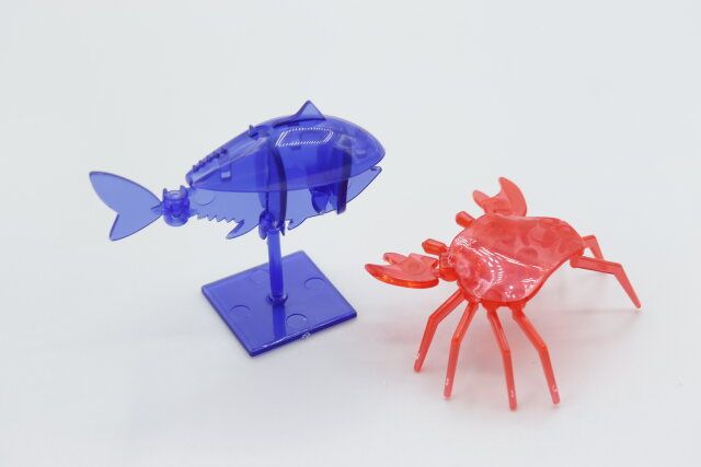 キャンドゥのクリアアクアリウム（カニ）と（マグロ）