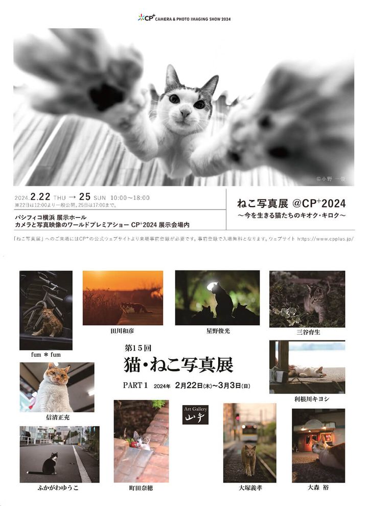 猫写真展のメインビジュアル「ねこ写真展 @CP+2024 ～今を生きる猫たちのキオク・キロク～」「第15回 猫・ねこ写真展 PART1」