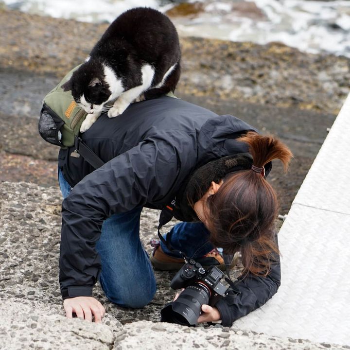 人間の背中に乗ってきた野良猫 in 佐柳島