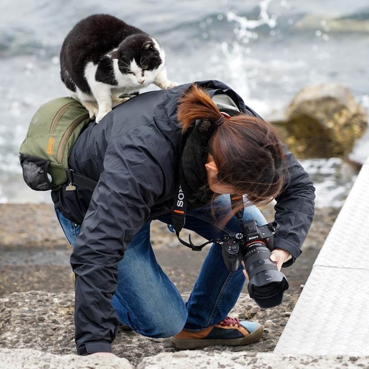 猫に背中に乗られてしまった写真家の町田奈穂さん