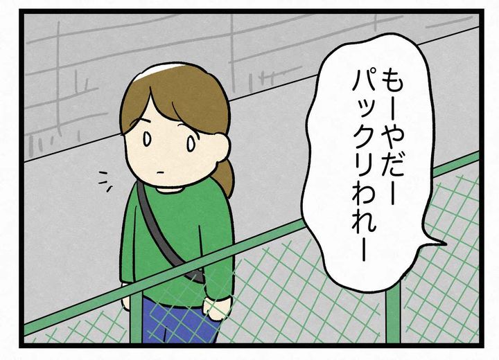 画像1: ぱっくり割れ