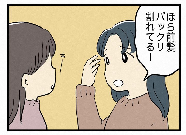 画像3: ぱっくり割れ