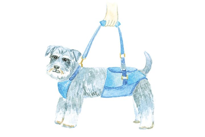 muumenna イラスト