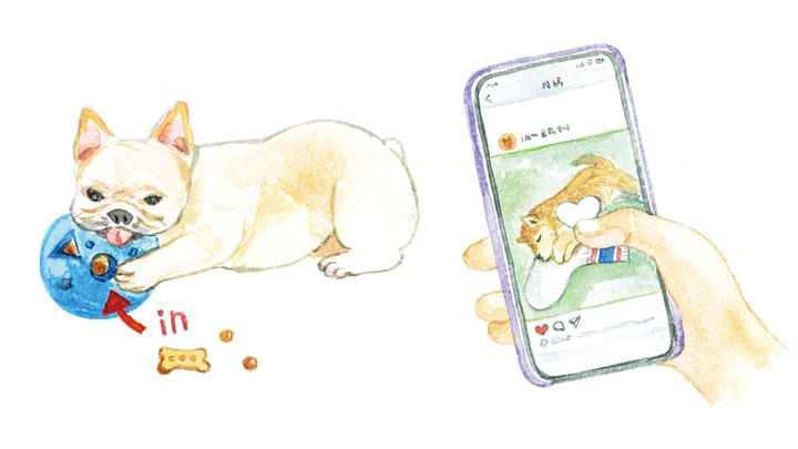 muumenna イラスト