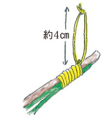 魔除け・鬼除けになるいわしの頭とトラ柄フレームがユーモラスな「ヒイラギいわしの節分スワッグ」の作り方の画像3