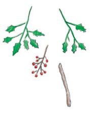 魔除け・鬼除けになるいわしの頭とトラ柄フレームがユーモラスな「ヒイラギいわしの節分スワッグ」の作り方の画像2