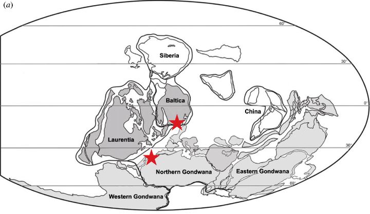 化石の発見場所（星）。図はデボン紀の大陸に合わせたポーランドとモロッコの位置