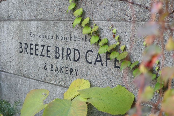 風が通り抜ける心地いい空間がコンセプト